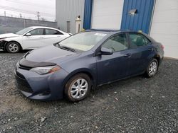 Salvage cars for sale at Elmsdale, NS auction: 2018 Toyota Corolla L