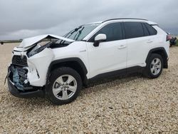 Salvage cars for sale at Temple, TX auction: 2021 Toyota Rav4 XLE