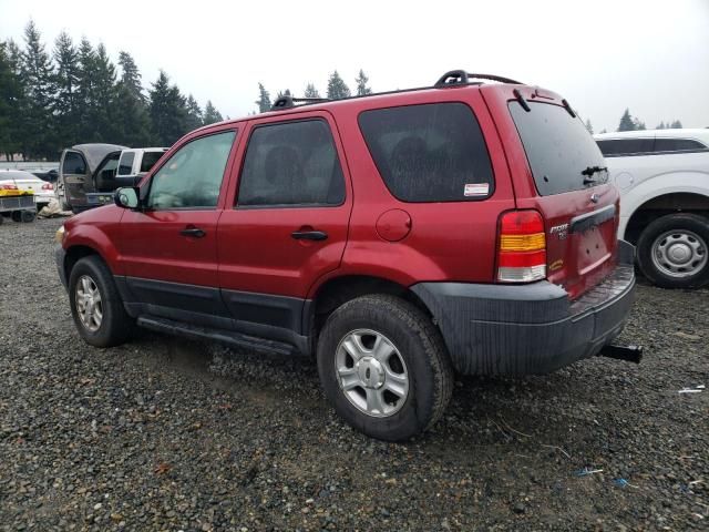 2005 Ford Escape XLT