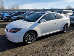 Salvage cars for sale from Copart Arlington, WA: 2010 Scion TC
