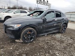 Alfa Romeo salvage cars for sale: 2023 Alfa Romeo Stelvio TI