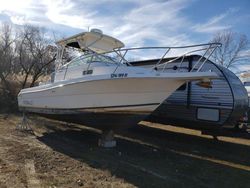 Salvage boats for sale at Glassboro, NJ auction: 2004 Robalo Boat