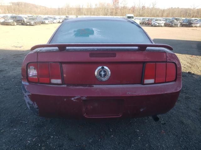 2005 Ford Mustang