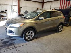 Salvage cars for sale at Billings, MT auction: 2013 Ford Escape SEL