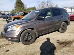 Salvage cars for sale at Finksburg, MD auction: 2010 Honda CR-V LX