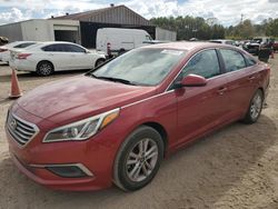 Salvage cars for sale at Greenwell Springs, LA auction: 2016 Hyundai Sonata SE