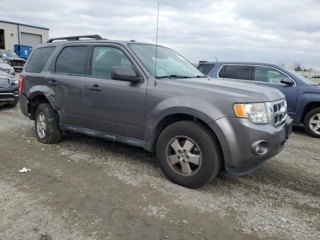 2012 Ford Escape XLT