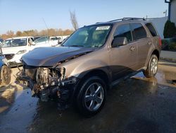 Salvage cars for sale at Louisville, KY auction: 2012 Ford Escape XLT