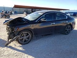 Salvage cars for sale at Andrews, TX auction: 2014 Nissan Maxima S