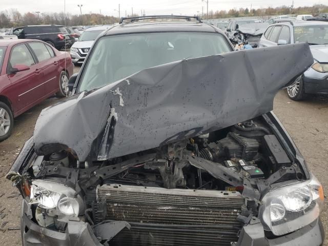 2005 Ford Escape XLT