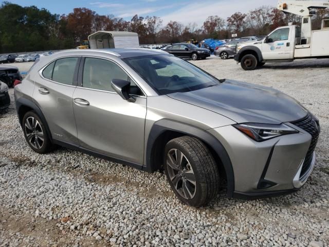 2020 Lexus UX 250H