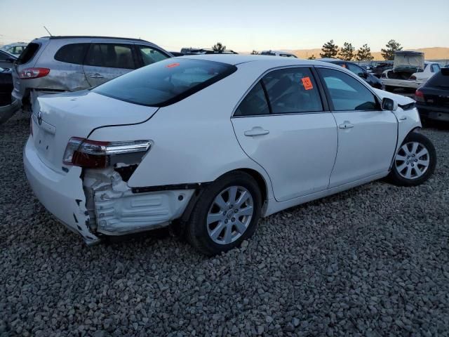 2009 Toyota Camry Hybrid