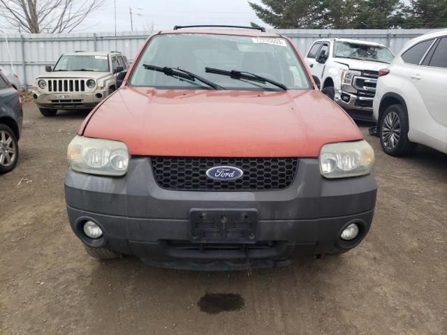 2007 Ford Escape XLT