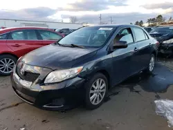 Salvage cars for sale at New Britain, CT auction: 2009 Toyota Corolla Base