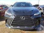 2023 Lexus NX 250