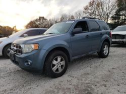 Ford Escape salvage cars for sale: 2010 Ford Escape XLT