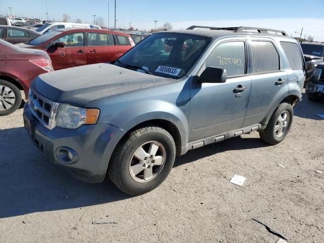 2011 Ford Escape XLT