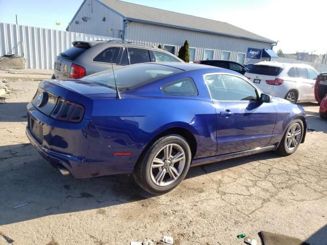 2014 Ford Mustang