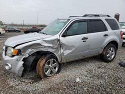 Ford Escape XLT salvage cars for sale: 2010 Ford Escape XLT