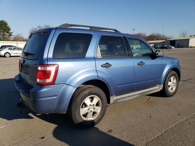 2009 Ford Escape XLT