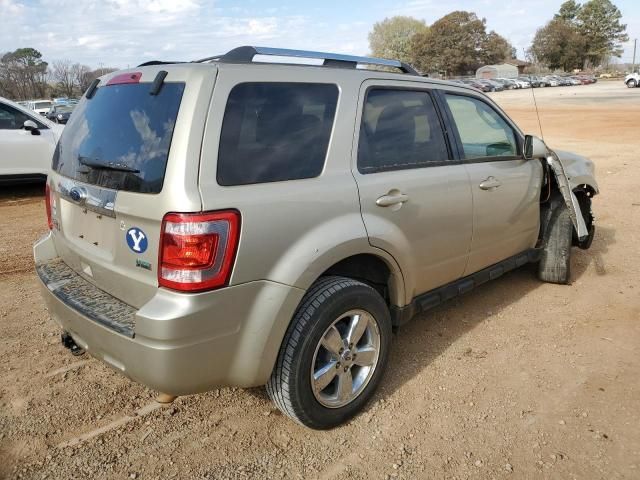 2011 Ford Escape Limited