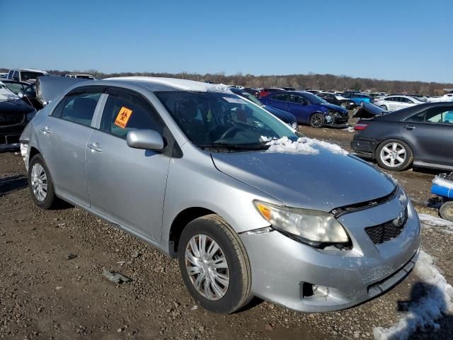 2010 Toyota Corolla Base