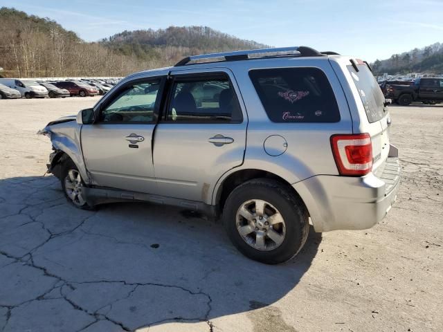 2011 Ford Escape Limited