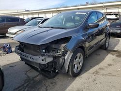 Salvage cars for sale at Louisville, KY auction: 2015 Ford Escape SE