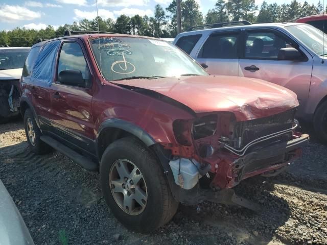 2004 Ford Escape XLT