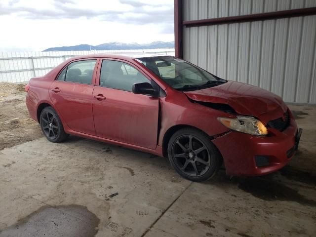 2009 Toyota Corolla Base