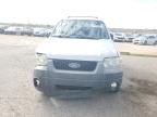 2007 Ford Escape XLT