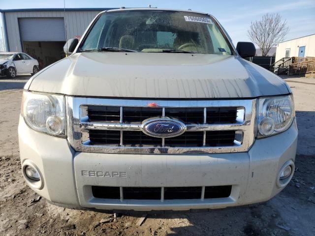 2008 Ford Escape XLT