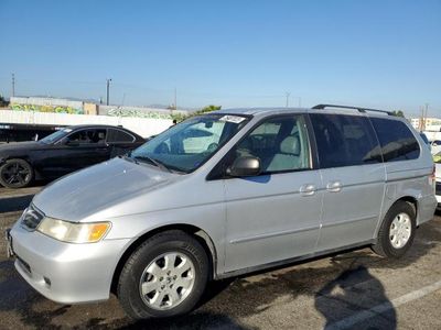 Honda salvage cars for sale: 2003 Honda Odyssey EXL