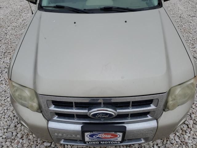 2011 Ford Escape Limited