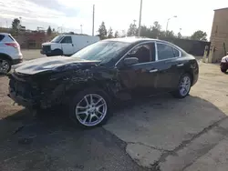 Nissan salvage cars for sale: 2012 Nissan Maxima S