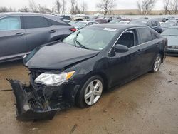 Salvage cars for sale at Bridgeton, MO auction: 2013 Toyota Camry L