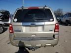 2010 Ford Escape Limited