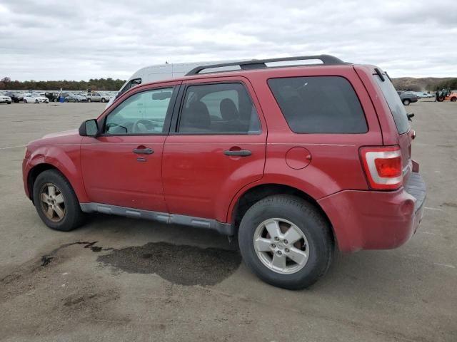 2010 Ford Escape XLT