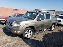 Honda Vehiculos salvage en venta: 2011 Honda Ridgeline RTL