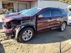 Salvage cars for sale at Seaford, DE auction: 2020 Ford Edge SEL