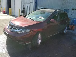 Nissan Murano s salvage cars for sale: 2012 Nissan Murano S