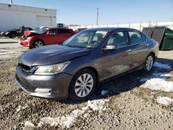 Salvage cars for sale at Farr West, UT auction: 2013 Honda Accord EX