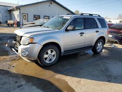 Ford Escape xlt salvage cars for sale: 2011 Ford Escape XLT