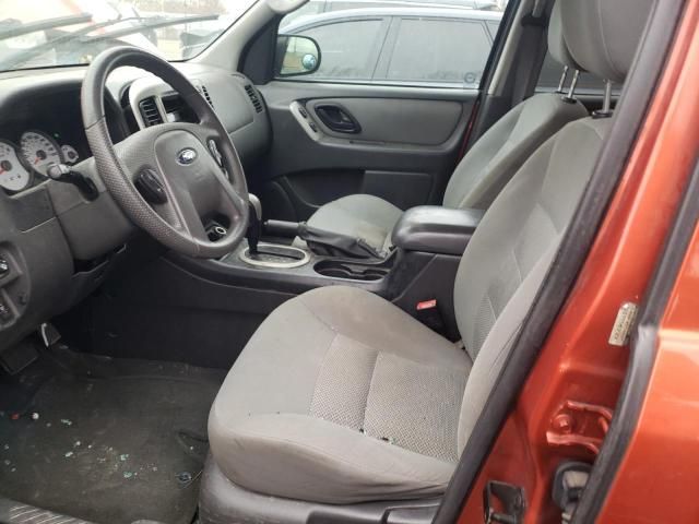 2007 Ford Escape XLT