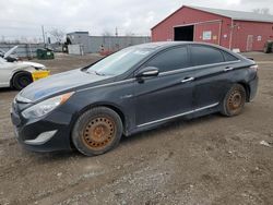 Salvage cars for sale from Copart London, ON: 2012 Hyundai Sonata Hybrid