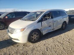 Honda salvage cars for sale: 2013 Honda Odyssey EXL