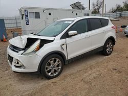 Salvage cars for sale at Oklahoma City, OK auction: 2013 Ford Escape SEL