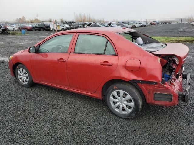 2010 Toyota Corolla Base