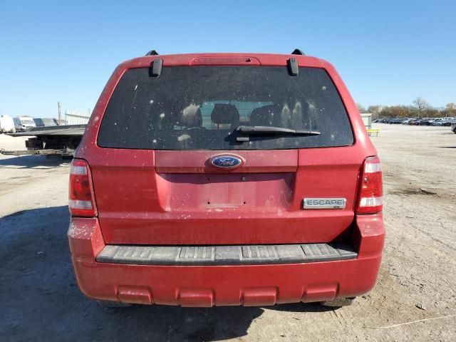 2008 Ford Escape XLT