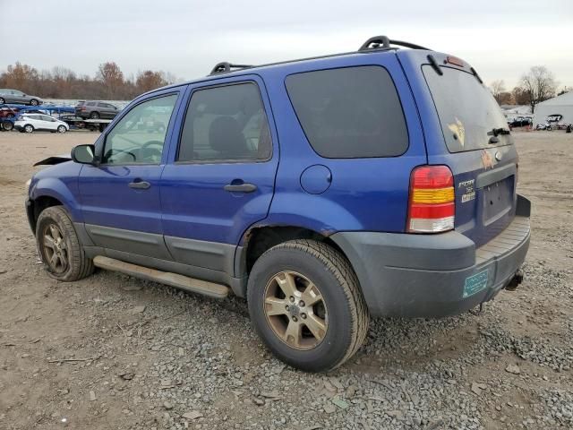 2006 Ford Escape XLT